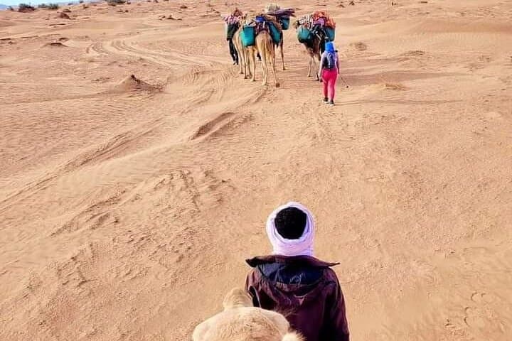 4-Day Sahara Desert Adventure from Marrakech — Camel Trek & Star-Camp Nights photo 5