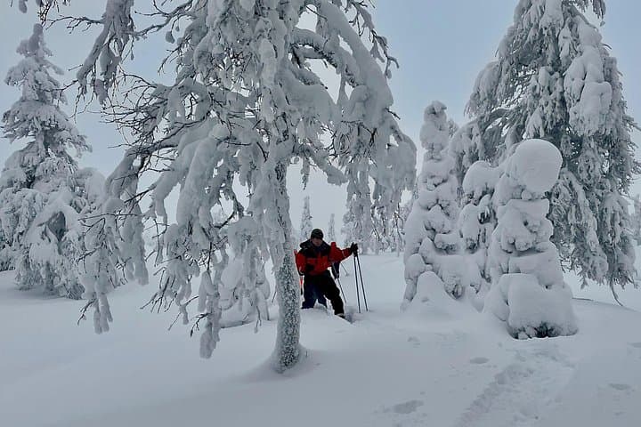 Levi Snowshoeing Adventure to Pallas‑Yllästunturi National Park photo 5