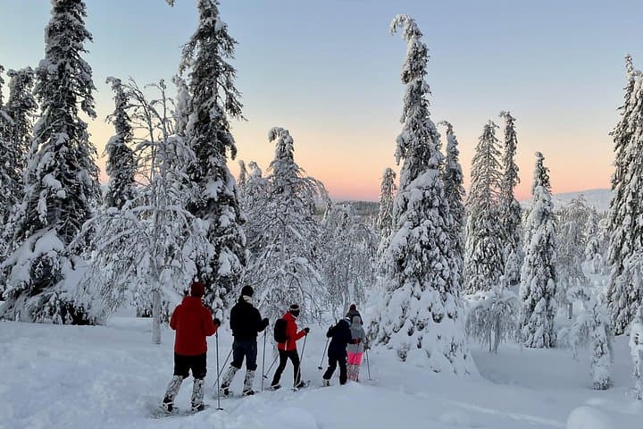 Levi Snowshoeing Adventure to Pallas‑Yllästunturi National Park photo 3