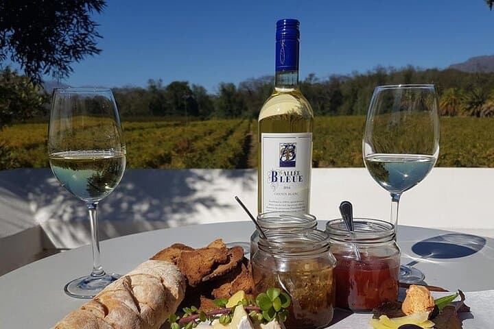 Private Stellenbosch & Franschhoek Wine Tasting Tour with Lunch from Cape Town photo 2