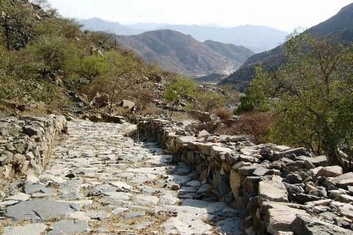 Day Tour from Jeddah to Taif: Al Hada & Al Shafa Mountains (King's Resort) photo 4