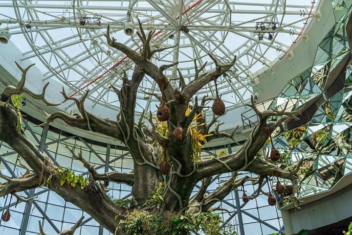 Green Planet Dubai Biodome: City Walk Rainforest Experience photo 3