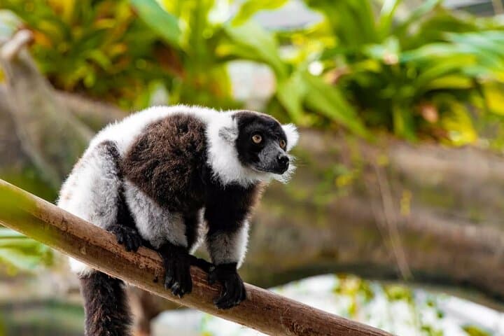 Green Planet Dubai Biodome: City Walk Rainforest Experience photo 5