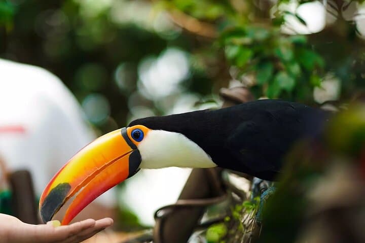 Green Planet Dubai Biodome: City Walk Rainforest Experience
