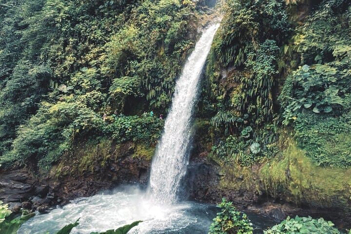 Exploring Poás Volcano and Coffee Plantations: A Full-Day Adventure from San José photo 3