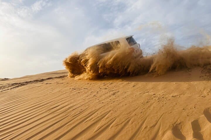 Abu Dhabi Private Dune Drive and Camel Farm Safari