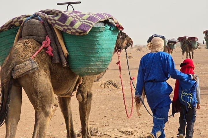 Marrakech to the Atlas and Erg Chebbi: 8-Day Desert & Kasbah Adventure photo 3