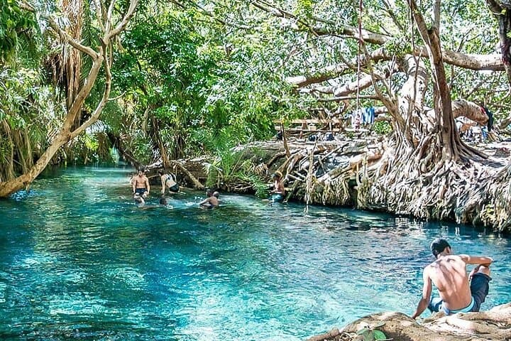 Jozani Forest and Kizimkazi Dolphin Watching Day Trip from Stone Town photo 4
