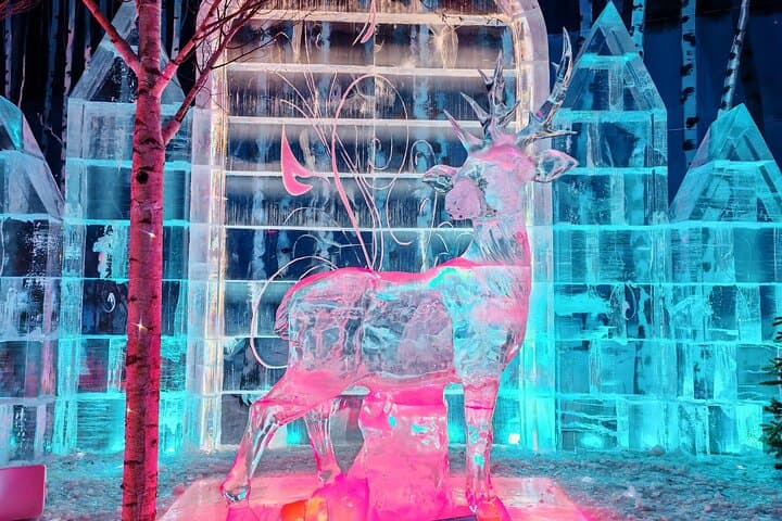Sun Island and Harbin Ice & Snow World: 4-Hour Summer Private Tour