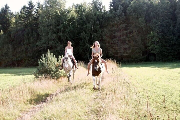 2-Hour Horseback Ride through Agadir's Eucalyptus Forest & Souss River photo 2