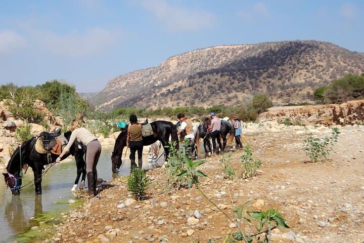 2-Hour Horseback Ride through Agadir's Eucalyptus Forest & Souss River photo 3