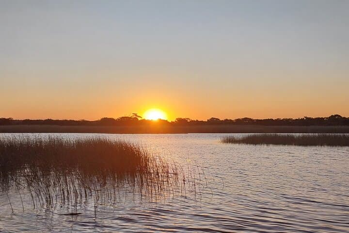 Half-Day iSimangaliso Hippo & Croc Boat Safari from Richards Bay photo 6