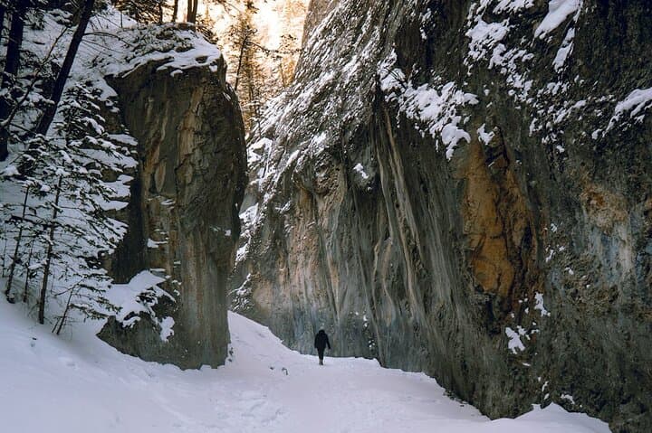 Grotto Canyon Ice Walk: Guided Frozen Waterfalls & Indigenous Pictographs photo 4