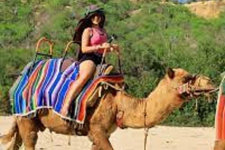One-Hour Camel Ride in Palmeraie Grove — Marrakech Oasis Experience photo 3