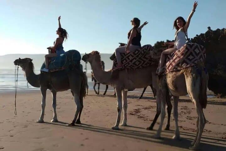 Camel Riding in Agadir: 2–3 Hour Berber Desert & Beach Ride with Tea photo 5