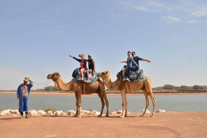 Camel Riding in Agadir: 2–3 Hour Berber Desert & Beach Ride with Tea photo 6