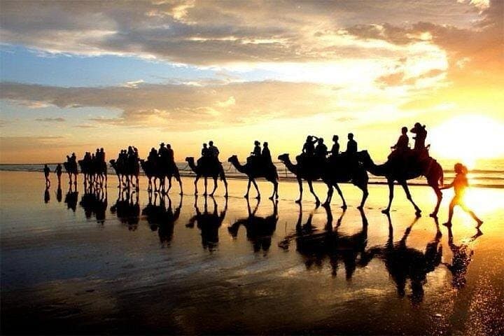 Camel Riding in Agadir: 2–3 Hour Berber Desert & Beach Ride with Tea