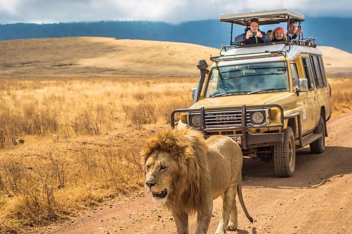 Half-Day Hluhluwe‑iMfolozi Private Game Drive from Richards Bay