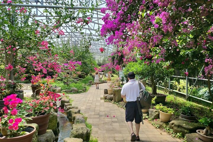 Half-Day Private Tour: Hallim Park Lava Tubes & O'sulloc Tea Museum, Jeju Island photo 5