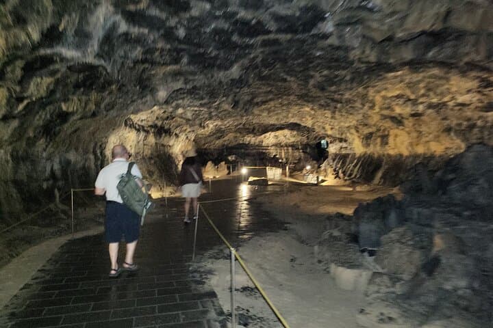 Half-Day Private Tour: Hallim Park Lava Tubes & O'sulloc Tea Museum, Jeju Island photo 3