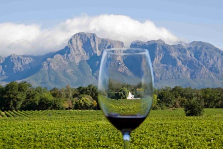 Cape Point to Groot Constantia Private Tour: Penguins, Coastal Drives & Wine Tasting