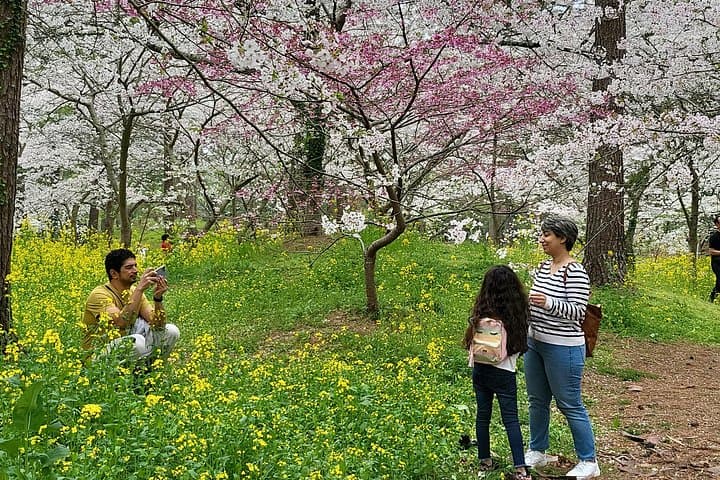 Half-Day Private Tour: Hallim Park Lava Tubes & O'sulloc Tea Museum, Jeju Island photo 6