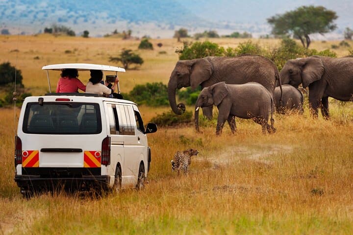 Cape Town to Aquila: Big Five Private Safari Day Trip photo 2