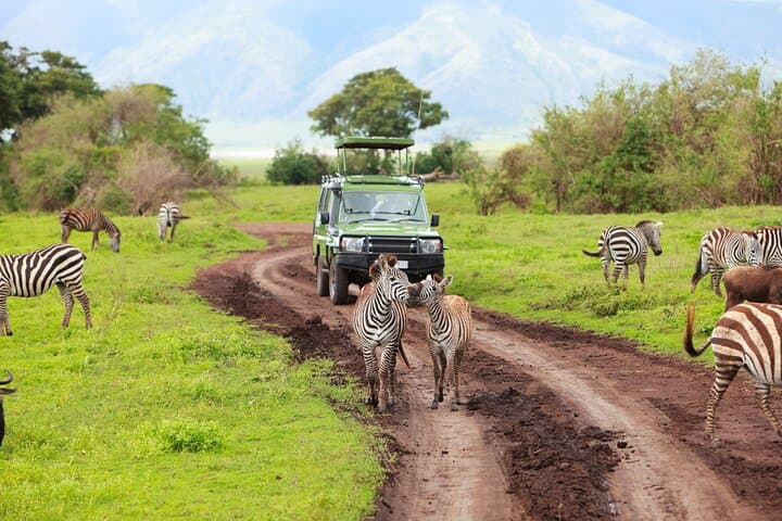 Cape Town to Aquila: Big Five Private Safari Day Trip