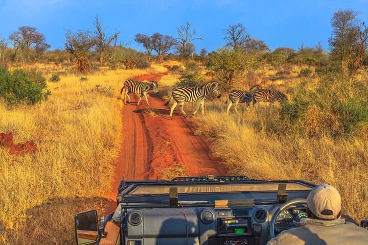 Cape Town to Aquila: Big Five Private Safari Day Trip photo 4