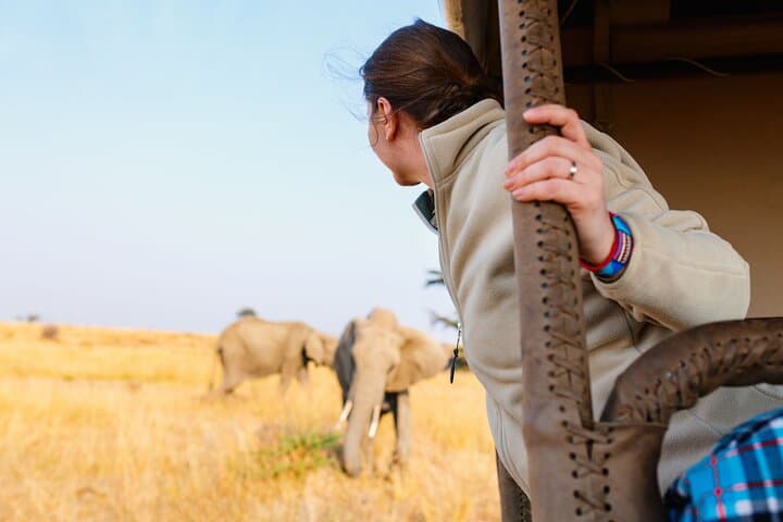 Cape Town to Aquila: Big Five Private Safari Day Trip photo 5