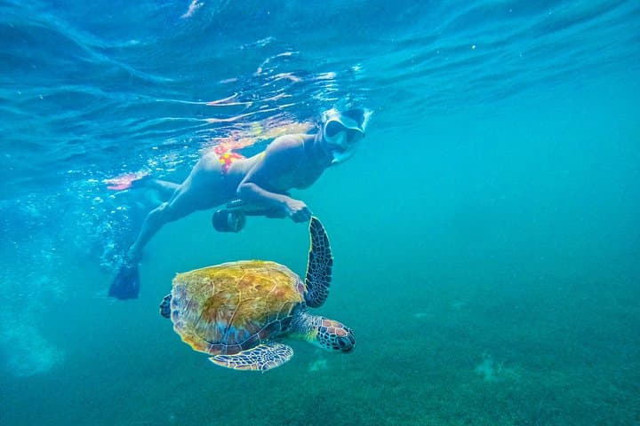 Glide with Turtles: Jet Snorkel Tour in San Juan, Puerto Rico photo 3