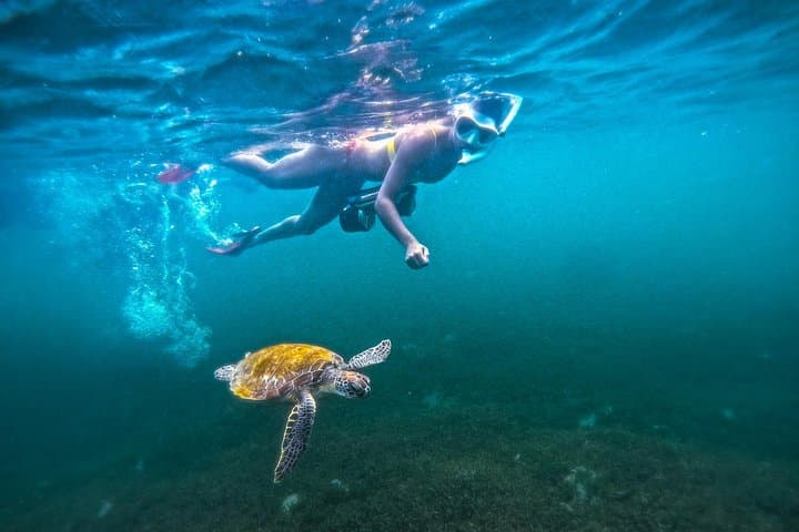 Glide with Turtles: Jet Snorkel Tour in San Juan, Puerto Rico photo 1