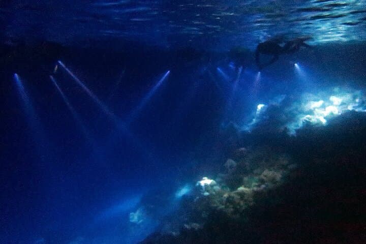 San Juan LED Night Snorkel: Guided LED & UV Night Reef Tour photo 2