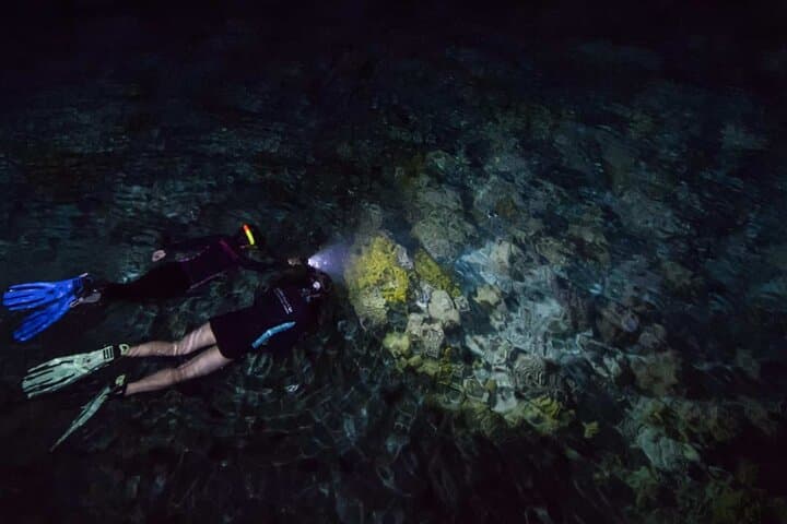 San Juan LED Night Snorkel: Guided LED & UV Night Reef Tour photo 3