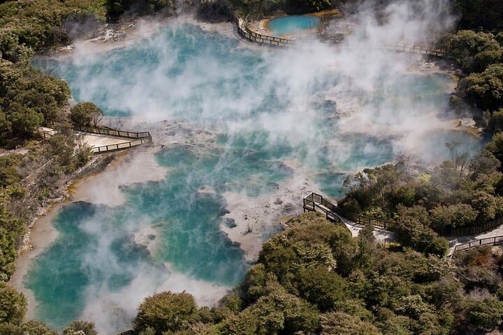 Hells Gate Rotorua: Geothermal Walk, Mud Baths & Sulphur Spa Experience photo 6