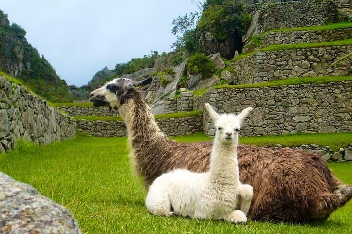 2-Day Machu Picchu Tour — Tourist Train, Aguas Calientes Overnight & Guided Visit photo 4