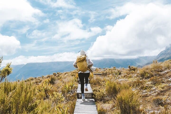 Guided Routeburn Track Day Hike to Key Summit from Te Anau
