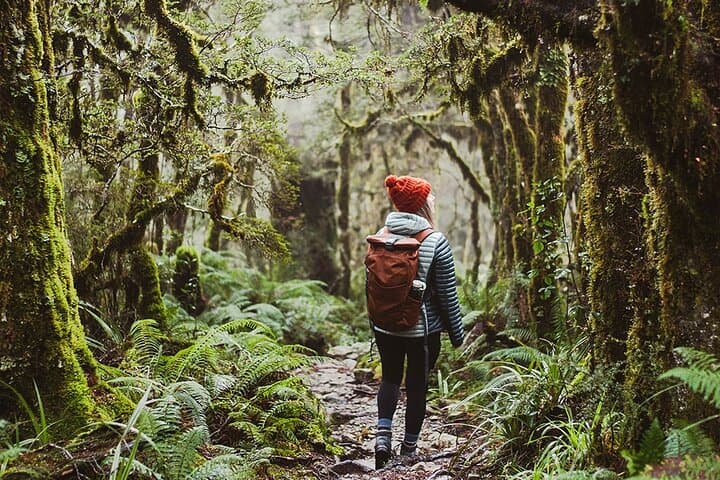Hike to Lake Marian: Fiordland’s Hanging Valley Walk from Te Anau