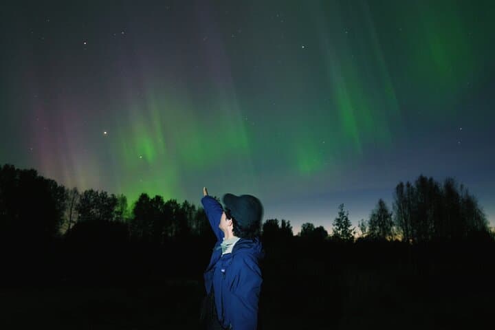 Rovaniemi Northern Lights Photo Tour with Campfire BBQ photo 3