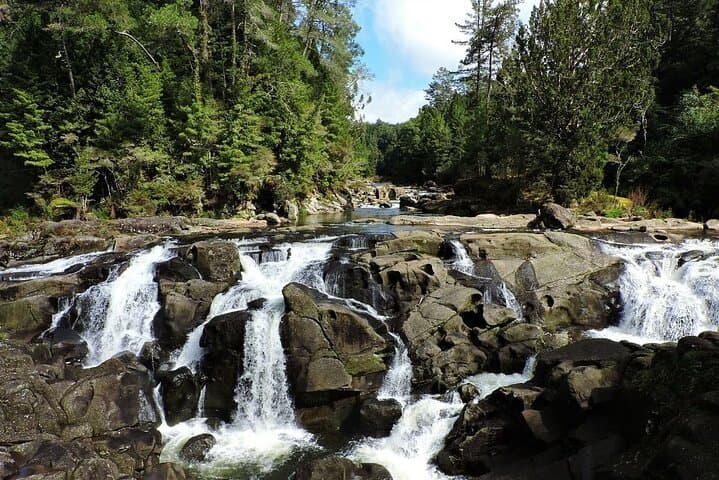 Two-Day Private North Island Highlights from Hamilton: Tauranga, Rotorua and Taupō photo 2