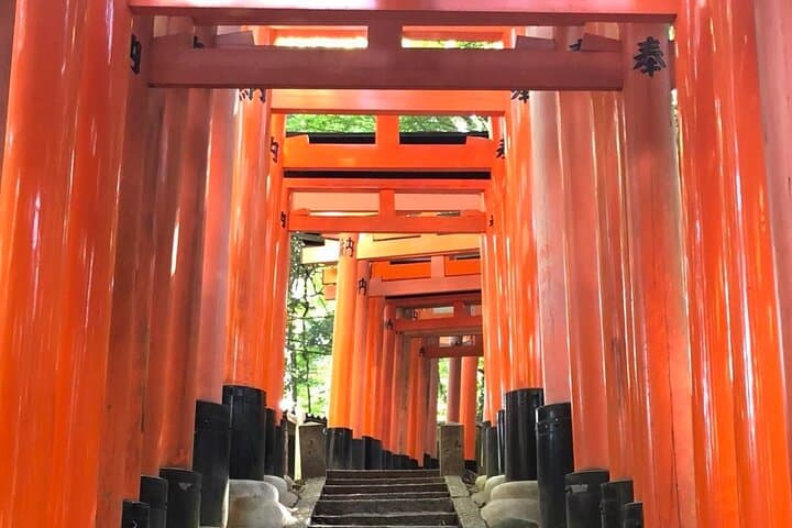 Secret Fushimi Inari Trails: Local-Guided Hike Through Hidden Torii and Bamboo Paths