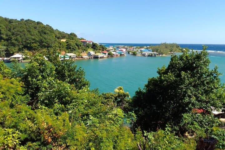 Sloths and Monkeys Roatán: Private Island Wildlife Tour & West Bay Beach Break photo 4