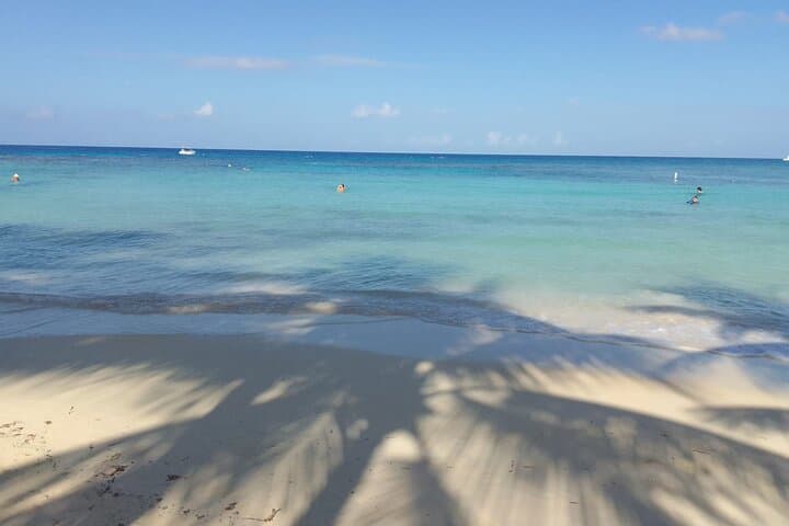 Sloths and Monkeys Roatán: Private Island Wildlife Tour & West Bay Beach Break photo 2
