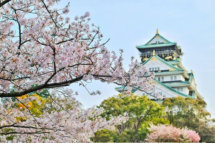 Osaka, Nara & Kyoto Day Trip with Private English-Speaking Driver