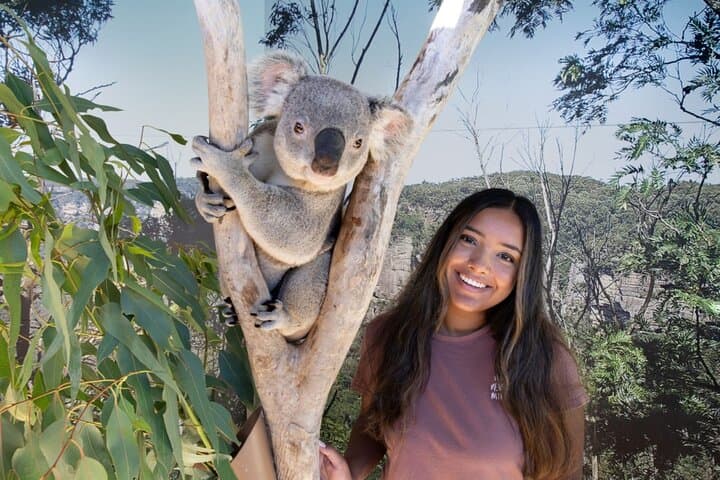Blue Mountains Day Tour from Sydney + 24‑Hour Hop-On Hop-Off Bus: Scenic World, Echo Point & Sydney Sights photo 4