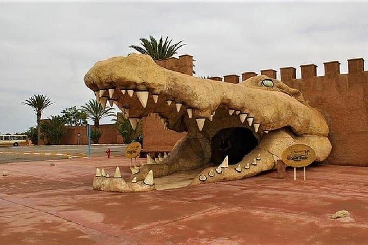 Croco Park Safari Adventure in Agadir: Family Wildlife Encounter with Transfers