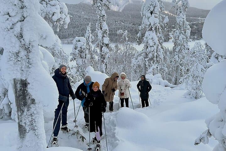 Levi Lakeside Snowshoeing: Forest Trails and Frozen Lake Walks photo 6