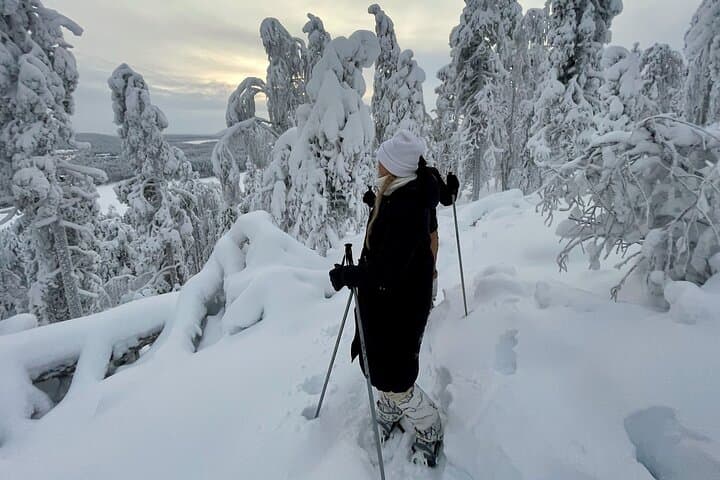 Levi Lakeside Snowshoeing: Forest Trails and Frozen Lake Walks photo 2