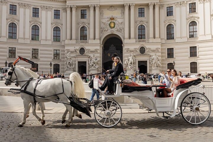 vienna-horse-drawn-carriage-ride-with-sparkling-wine-and-food photo 1