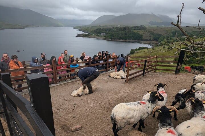 3-Day Luxury Connemara & Cliffs of Moher Private Tour from Dublin